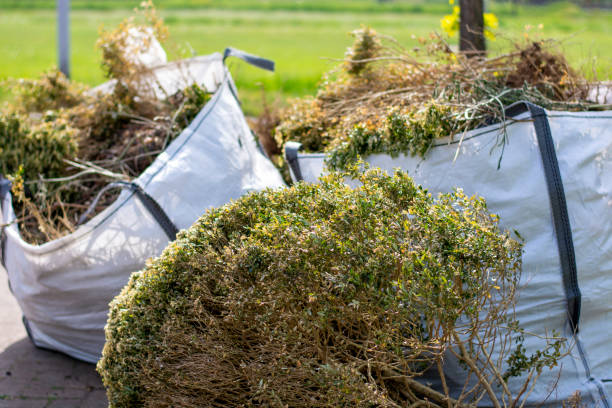 Best Basement Cleanout Services  in Lake Hiawatha, NJ